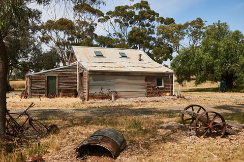 The Shiraz Republic - Internet Find 2