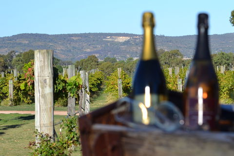 Ugly Duckling Wines - Internet Find 1