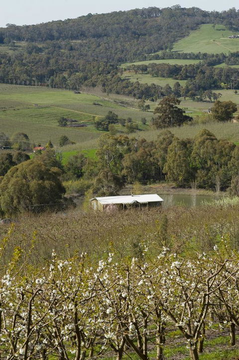 Borrodell Vineyard - Internet Find 30