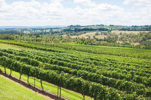 Borrodell Vineyard - Internet Find 29