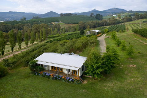Borrodell Vineyard - Internet Find 2