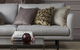 Bertie’s Total Interiors - thumb 11