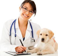 HIGHLANDS VETERINARY GROUP - Internet Find