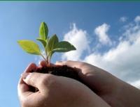 Vital Spirit Natural Health - Internet Find 0