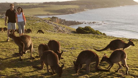 Kangaroo Island Seafront - Internet Find 13