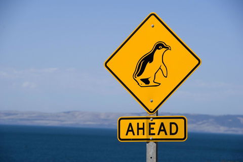 Kangaroo Island Seafront - Internet Find 43
