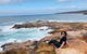 Sea Dragon Lodge - thumb 36