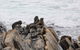 Sea Dragon Lodge - thumb 31