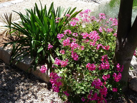 Country Bakehouse Accommodation - Internet Find 18