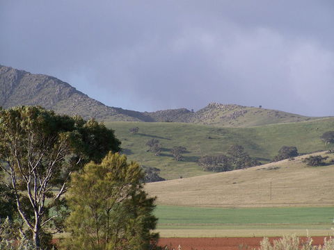 Burra Motor Inn - Internet Find 32