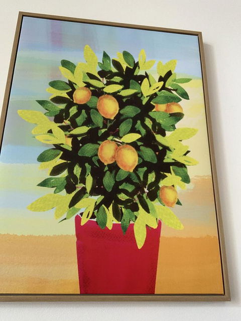 Sunshine Three - Internet Find 2