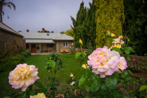 Grand Cru Estate Homestead - Internet Find 8
