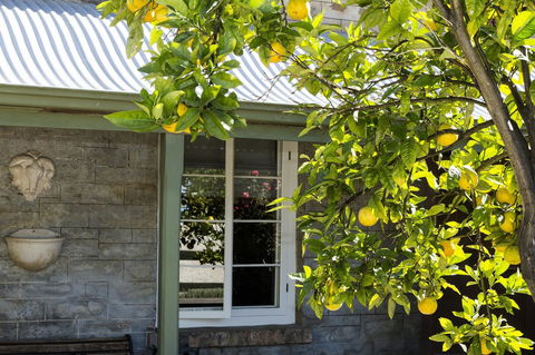 Grand Cru Estate Homestead - Internet Find 10