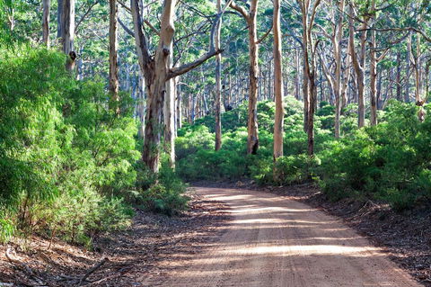 Margaret River Retreat - Internet Find 20
