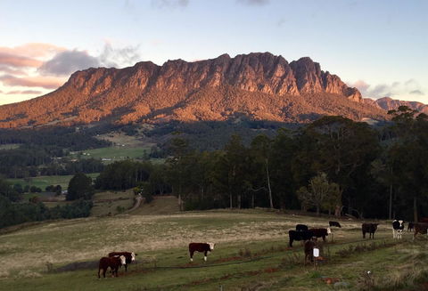 Manna Hill Farm - Internet Find 10