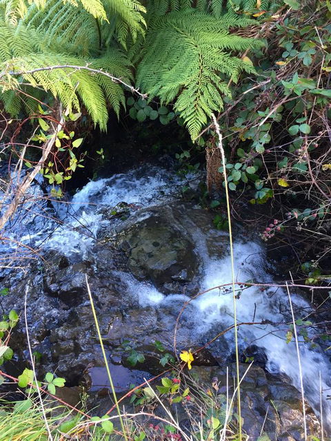 Manna Hill Farm - Internet Find 26