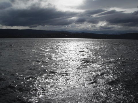 Maydena Chalet - Internet Find 33