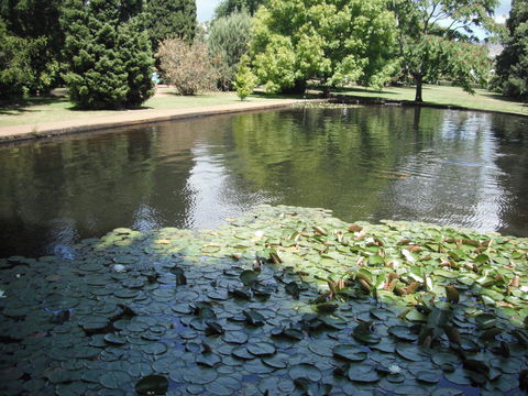 Maydena Chalet - Internet Find 23