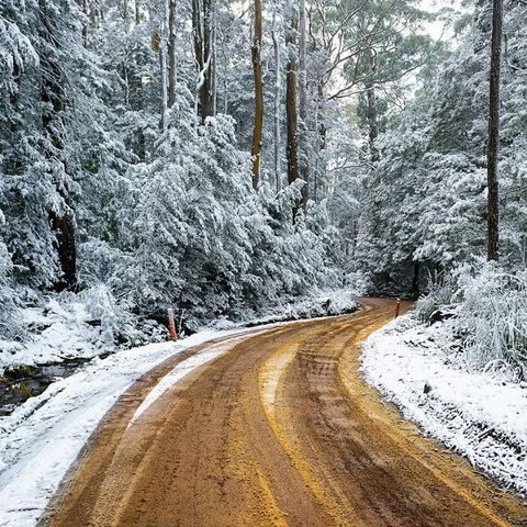 Maydena Chalet - Internet Find 41