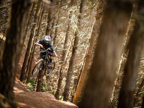 Maydena Chalet - Internet Find 6