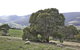 House On The Hill Bed And Breakfast - thumb 16