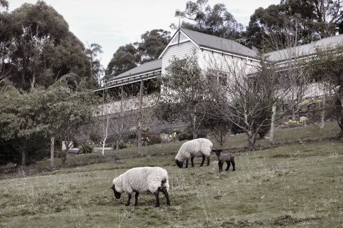 House On The Hill Bed And Breakfast - Internet Find 19