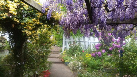 Birch Lane - Internet Find 20