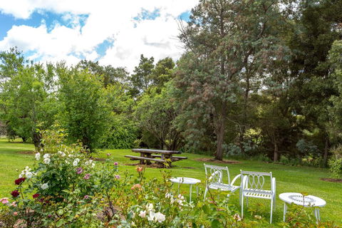Cambridge House Bed & Breakfast - Internet Find 21