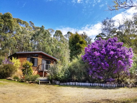 Southern Forest Accommodation - Internet Find 10