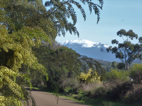 Southern Forest Accommodation - Internet Find 24