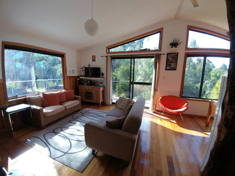Southern Forest Accommodation - Internet Find 5