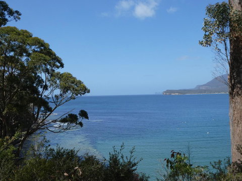 Osprey Lodge & Bungalow - Internet Find 3