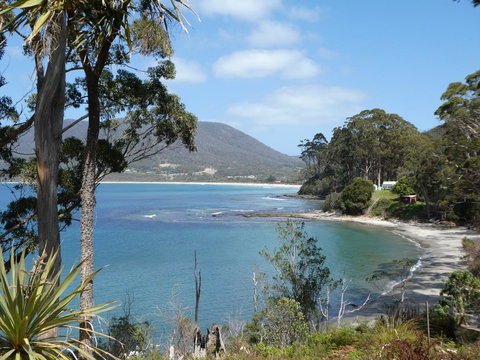 Osprey Lodge & Bungalow - Internet Find 4