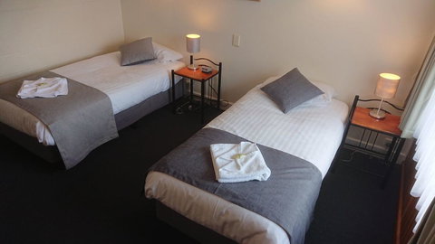 Mt Lyell Motor Inn - Internet Find 23