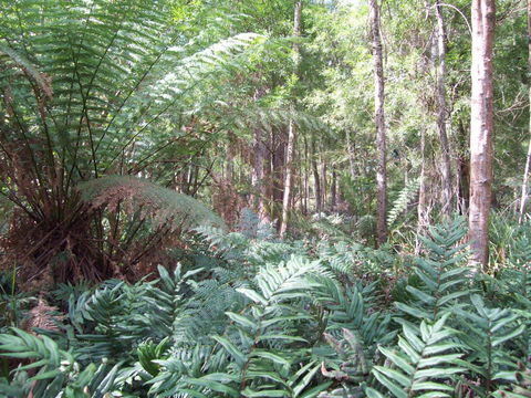 St. Pauls Bed & Breakfast - Internet Find 15