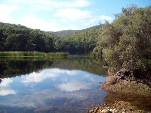 St. Pauls Bed & Breakfast - Internet Find 11