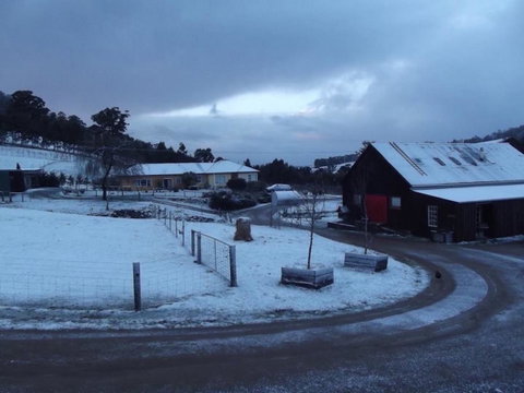 Eden Orchard & Farmstay - Internet Find 23