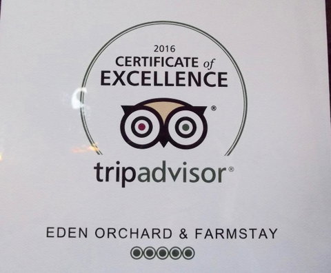 Eden Orchard & Farmstay - Internet Find 28