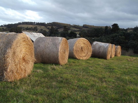Eden Orchard & Farmstay - Internet Find 35
