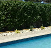 Robinvale Bridge Motel - Internet Find