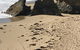 Sunsets On Martyrs Beach House - Ocean Views - thumb 41