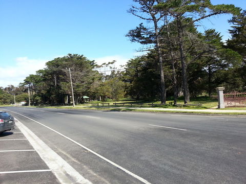 Torquay Timeout - Internet Find 20