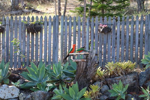 The Hideaway Agnes Water (Adults Only) - Internet Find 40