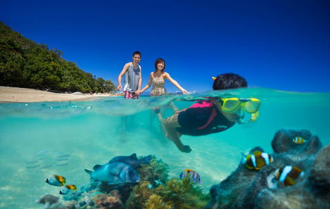 Fitzroy Island Resort - Internet Find 22