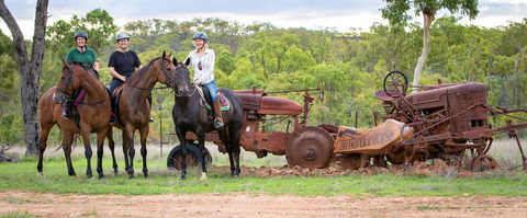 Ironbark House - Internet Find 8