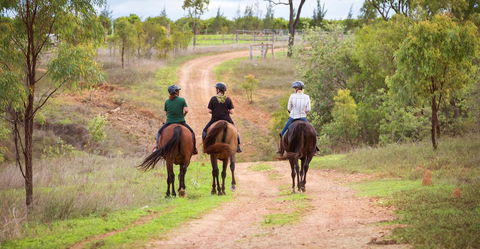 Ironbark House - Internet Find 22