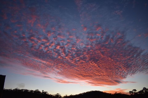 Ironbark House - Internet Find 6