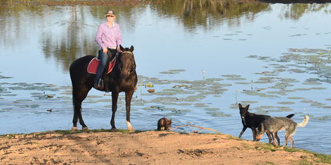 Ironbark House - Internet Find 39