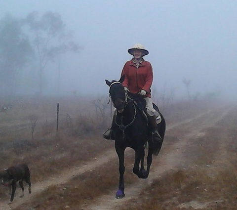 Ironbark House - Internet Find 37