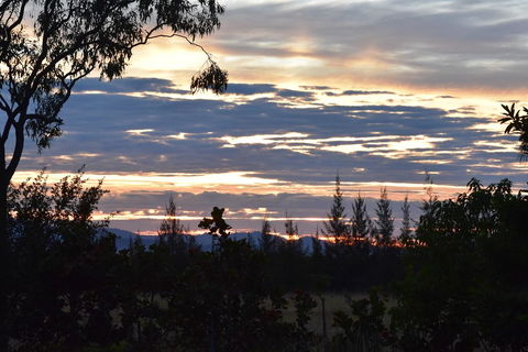 Ironbark House - Internet Find 40